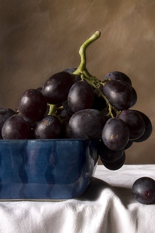 Обои виноград, фрукты, черный, натюрморт, grapes, fruit, black, still life разрешение 1920x1200 Загрузить