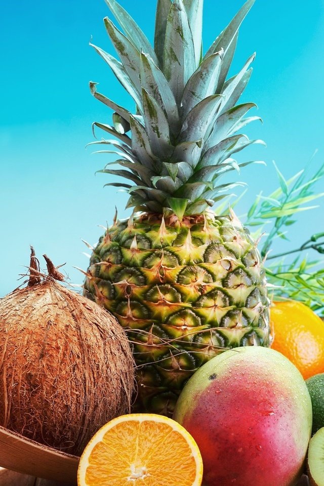 Обои апельсин, киви, кокос, ананас, orange, kiwi, coconut, pineapple разрешение 2560x1600 Загрузить