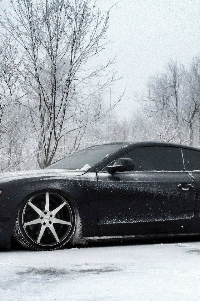 Обои снег, зима, ауди, тюнинг, диски, audi s5, snow, winter, audi, tuning, drives разрешение 1920x1080 Загрузить