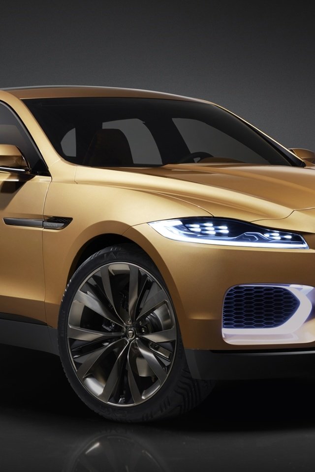 Обои ягуар, concept, концепт, передок, c-x17, 5-seater, ягуа́р, jaguar, the concept, the front, the c-x17 разрешение 1920x1200 Загрузить