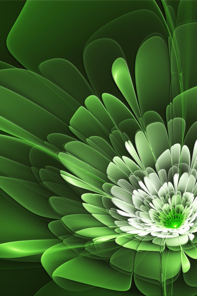 Обои линии, зелёный, цветок, лепестки, line, green, flower, petals разрешение 1920x1200 Загрузить