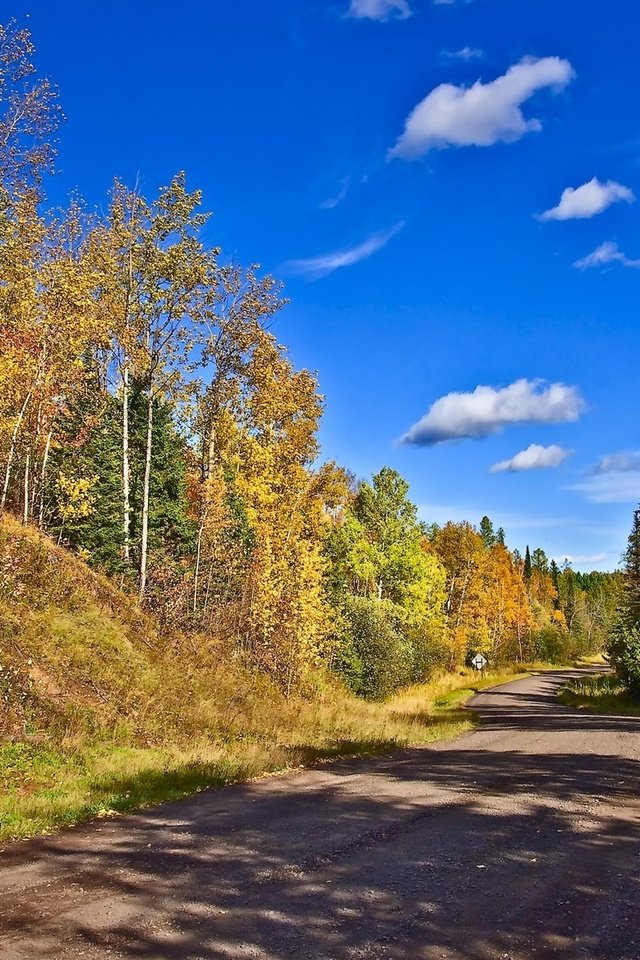 Обои небо, дорога, деревья, пейзаж, осень, the sky, road, trees, landscape, autumn разрешение 1920x1200 Загрузить