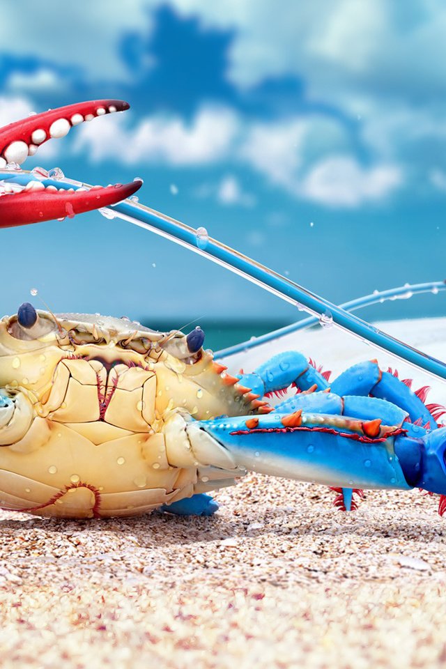 Обои краб, 3д, blue crab, цифровое искусство, crab, 3d, digital art разрешение 1920x1080 Загрузить