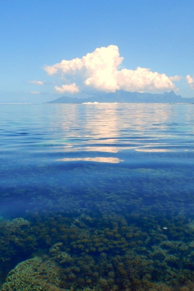 Обои облака, море, горизонт, кораллы, clouds, sea, horizon, corals разрешение 2560x1600 Загрузить