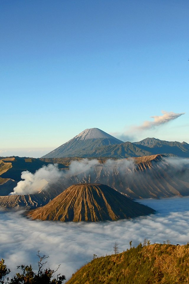 Обои деревья, горы, туман, вид, вулкан, trees, mountains, fog, view, the volcano разрешение 2560x1600 Загрузить