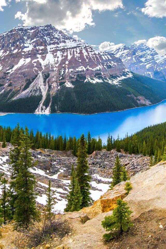 Обои канада, национальный парк банф, peyto lake, ab, canada, banff national park разрешение 2560x1600 Загрузить