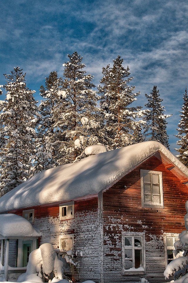 Обои деревья, снег, зима, дом, елки, старый, trees, snow, winter, house, tree, old разрешение 1920x1200 Загрузить