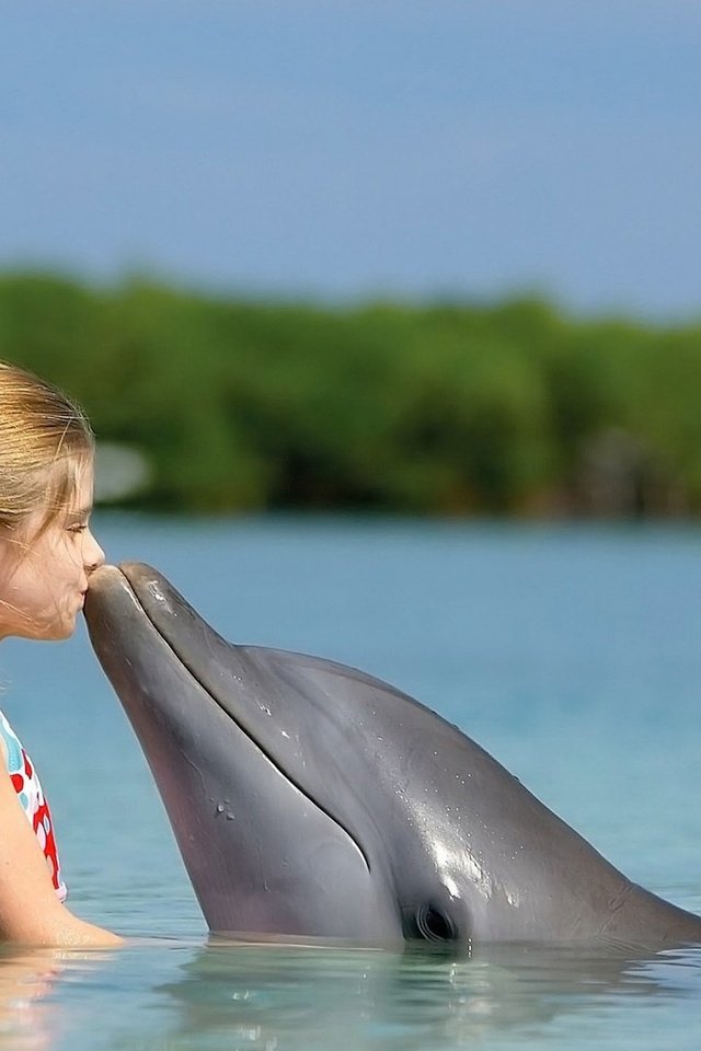 Обои девочка, дружба, дельфин, girl, friendship, dolphin разрешение 2560x1600 Загрузить