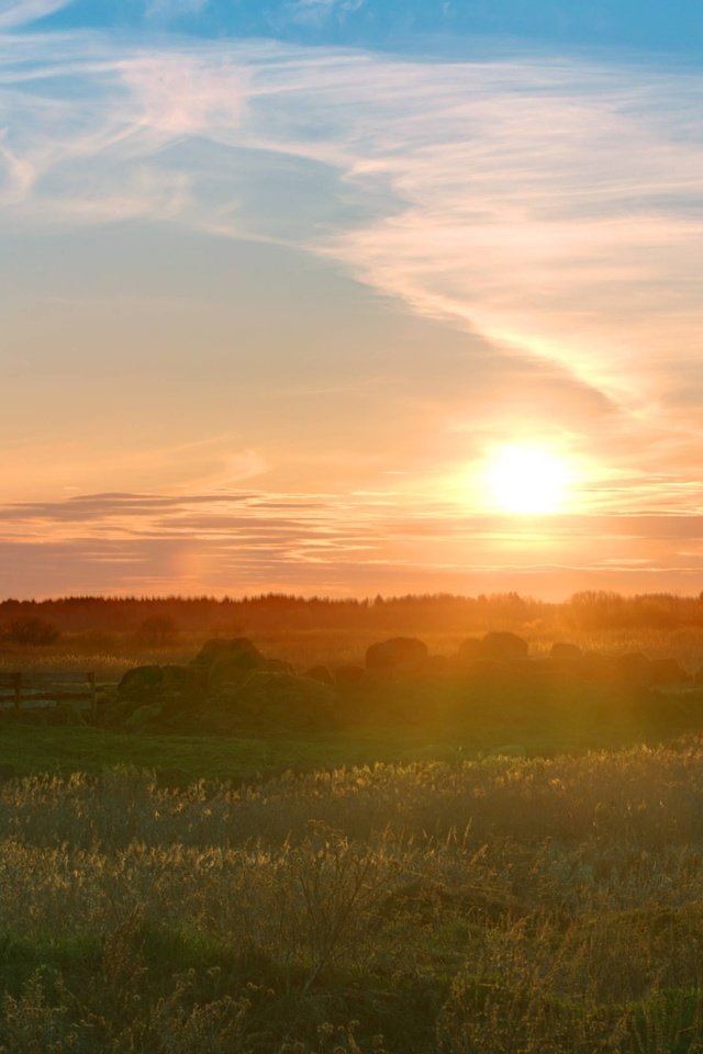 Обои трава, солнце, природа, утро, grass, the sun, nature, morning разрешение 3300x2186 Загрузить