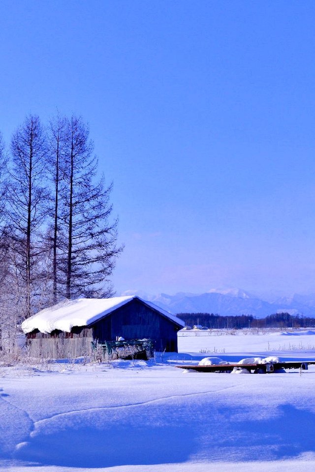 Обои деревья, снег, зима, поле, дом, trees, snow, winter, field, house разрешение 1920x1200 Загрузить