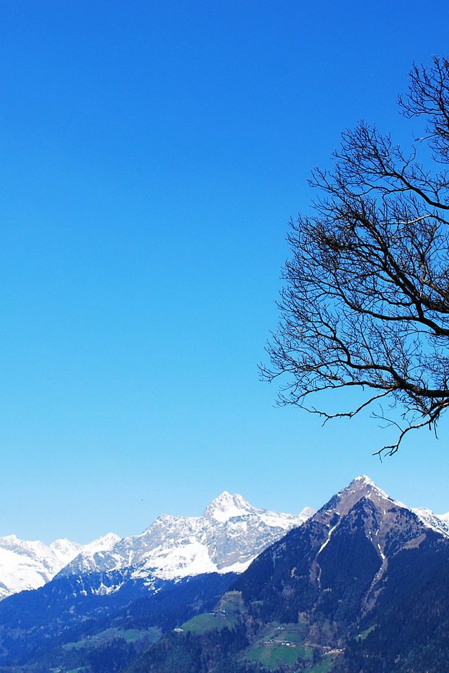 Обои небо, горы, природа, дерево, пейзаж, снежные вершины, the sky, mountains, nature, tree, landscape, snowy peaks разрешение 2560x1584 Загрузить