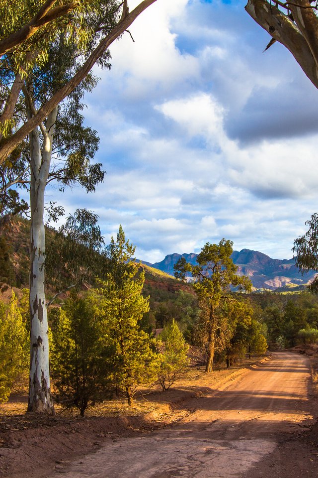 Обои дорога, деревья, горы, road, trees, mountains разрешение 2048x1398 Загрузить