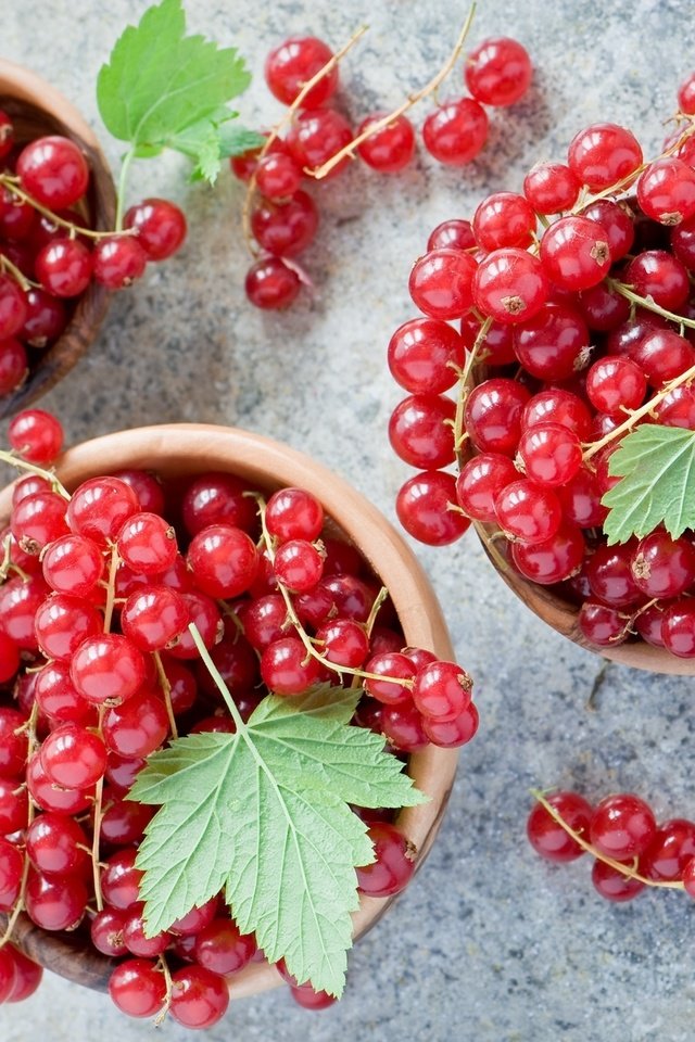 Обои ягода, красная, смородина, миски, berry, red, currants, bowls разрешение 2000x1377 Загрузить