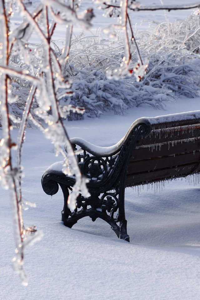 Обои снег, зима, парк, ветки, лёд, скамейка, snow, winter, park, branches, ice, bench разрешение 3888x2592 Загрузить