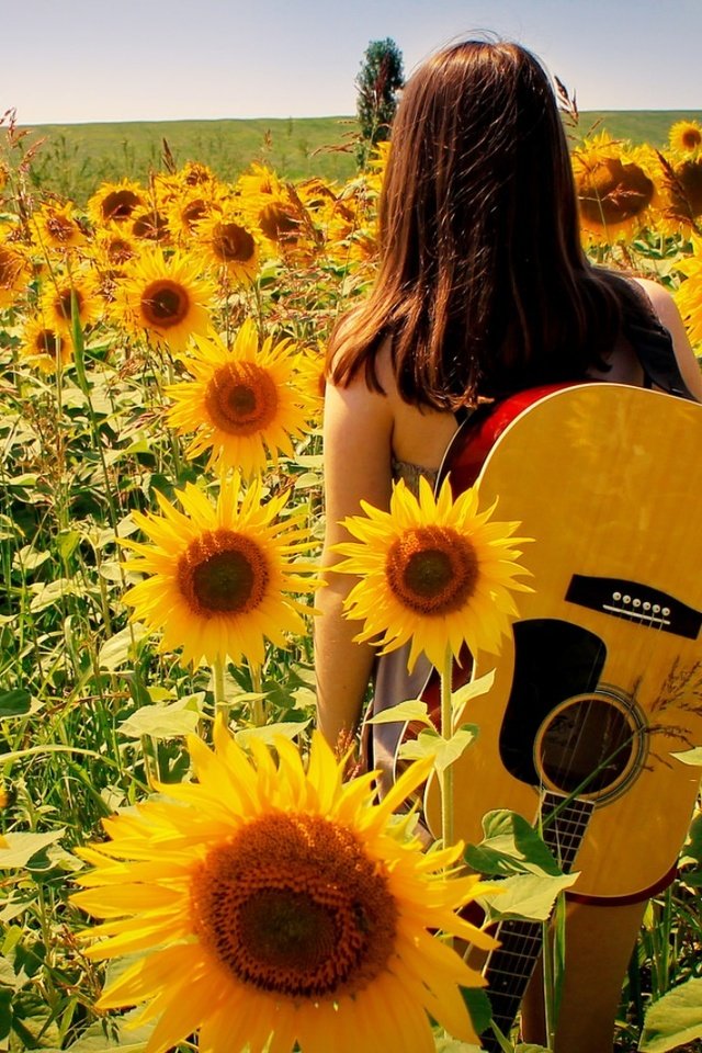 Обои девушка, поле, гитара, лето, подсолнухи, girl, field, guitar, summer, sunflowers разрешение 1920x1080 Загрузить