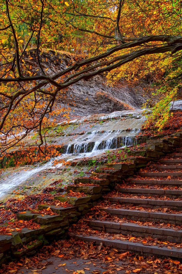 Обои деревья, вода, лестница, ступеньки, парк, листва, осень, поток, trees, water, ladder, steps, park, foliage, autumn, stream разрешение 2048x1367 Загрузить