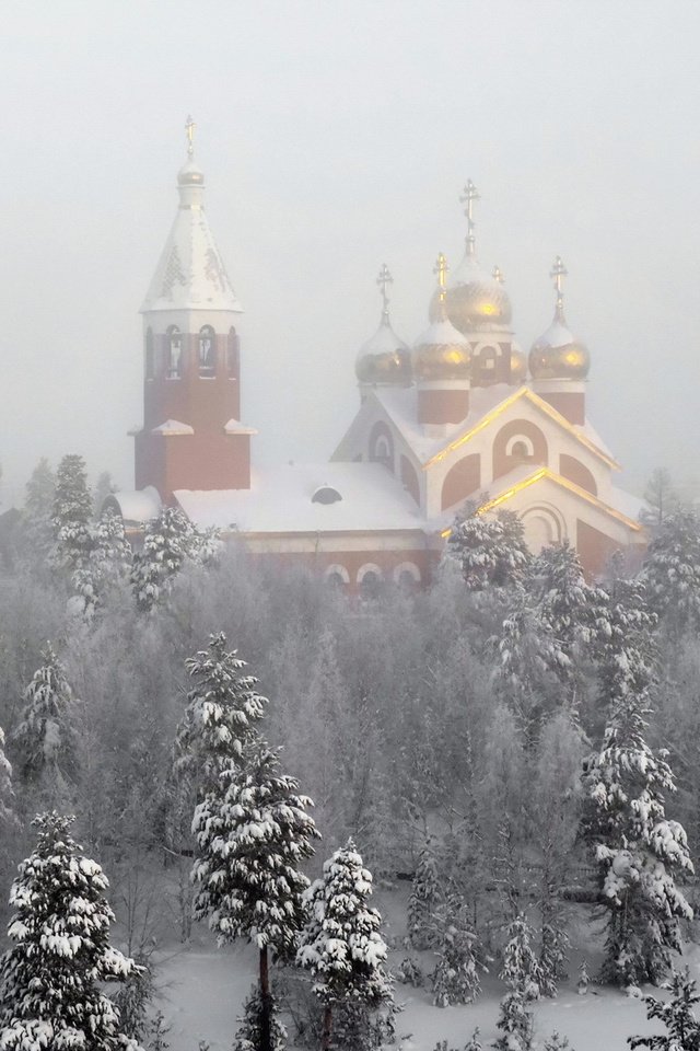 Лобня Церковь зима