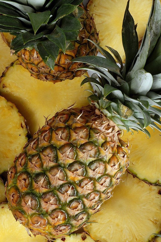 Обои фрукты, ананас, ананасы, fruit, pineapple, pineapples разрешение 1920x1200 Загрузить
