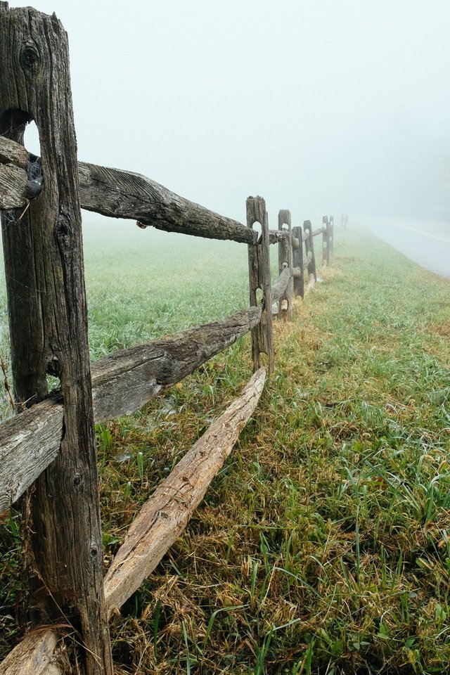 Обои дорога, природа, туман, забор, road, nature, fog, the fence разрешение 2560x1600 Загрузить