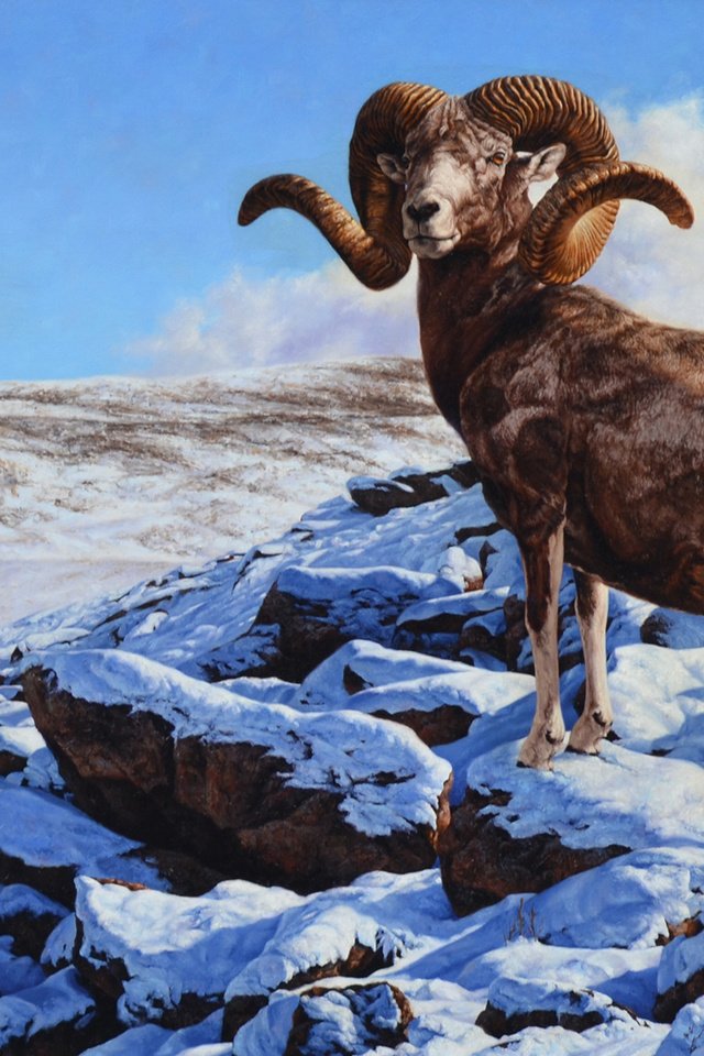 Обои горы, рога, козел, mountains, horns, goat разрешение 2048x1202 Загрузить