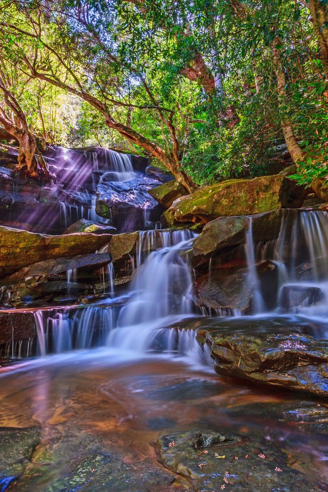 Обои деревья, природа, пейзаж, водопад, поток, trees, nature, landscape, waterfall, stream разрешение 6000x4000 Загрузить