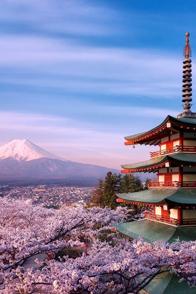 Обои пагода, япония, сакура, вулкан фудзияма, pagoda, japan, sakura, the fuji volcano разрешение 2880x1970 Загрузить