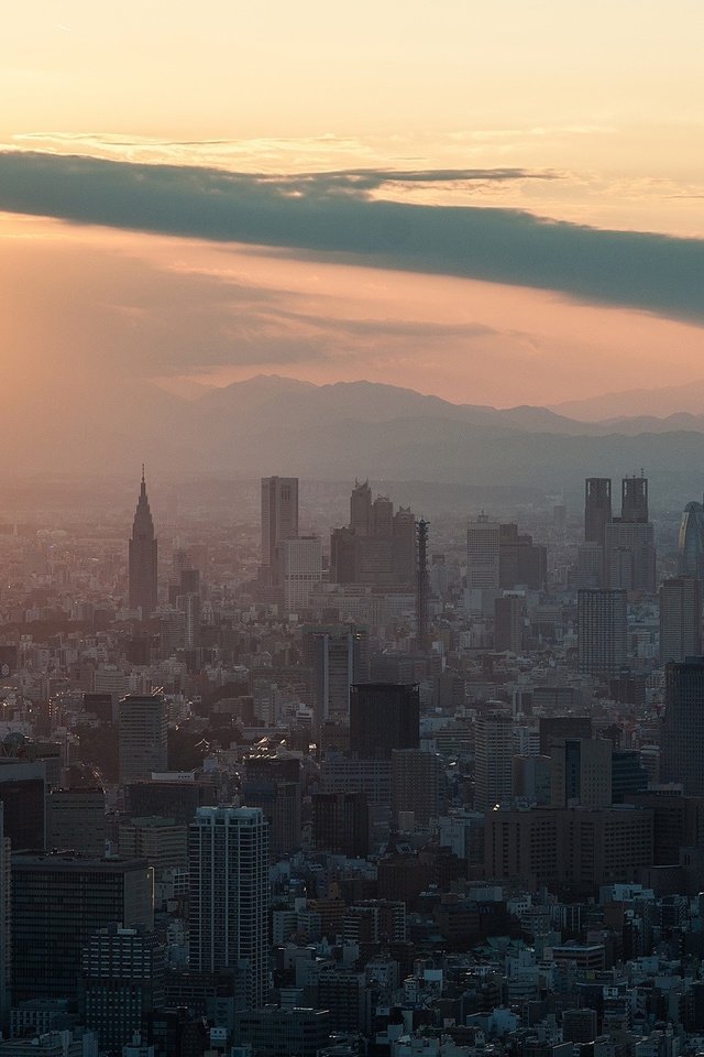 Обои солнце, закат, япония, небоскребы, здания, токио, shinjuku, tokyo skytree, the sun, sunset, japan, skyscrapers, building, tokyo разрешение 2048x1302 Загрузить