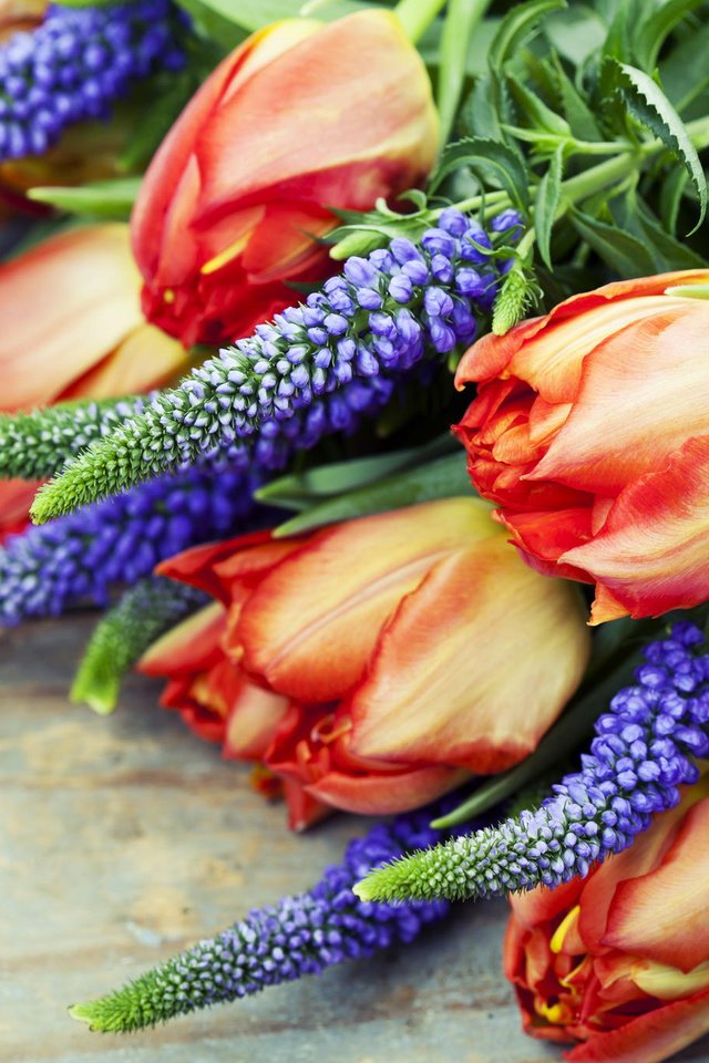 Обои цветы, природа, букет, тюльпаны, люпины, flowers, nature, bouquet, tulips, lupins разрешение 2048x1365 Загрузить