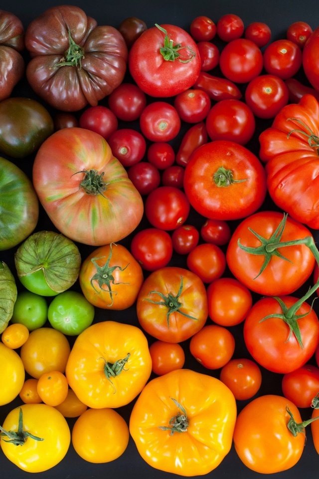 Обои разноцветные, урожай, овощи, помидоры, томаты, colorful, harvest, vegetables, tomatoes разрешение 1920x1771 Загрузить