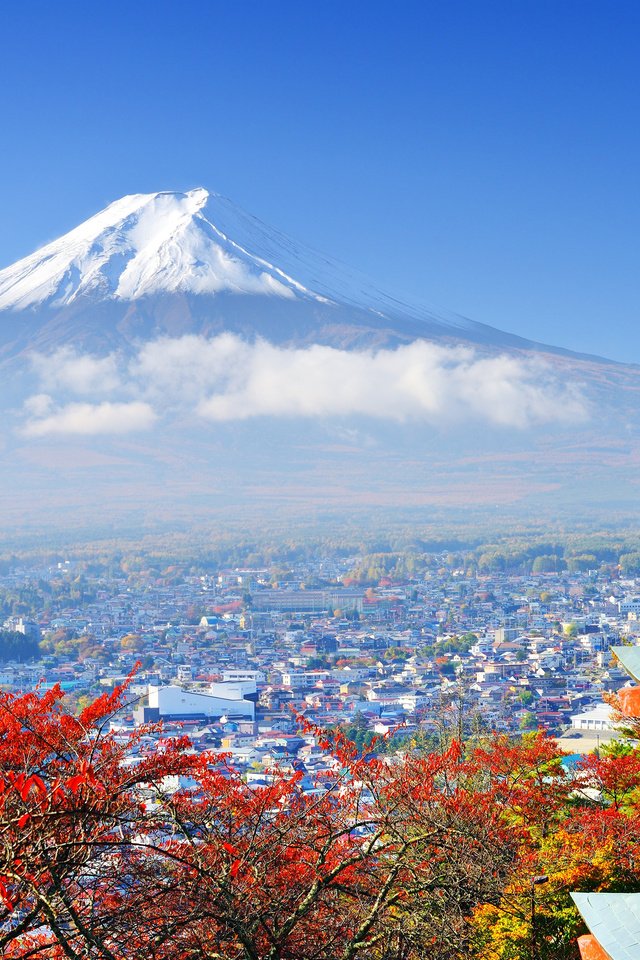 Обои храм, гора, япония, вулкан, токио, фудзияма, chureito pagoda, фудзиёсида, temple, mountain, japan, the volcano, tokyo, fuji, fujiyoshida разрешение 3840x2400 Загрузить