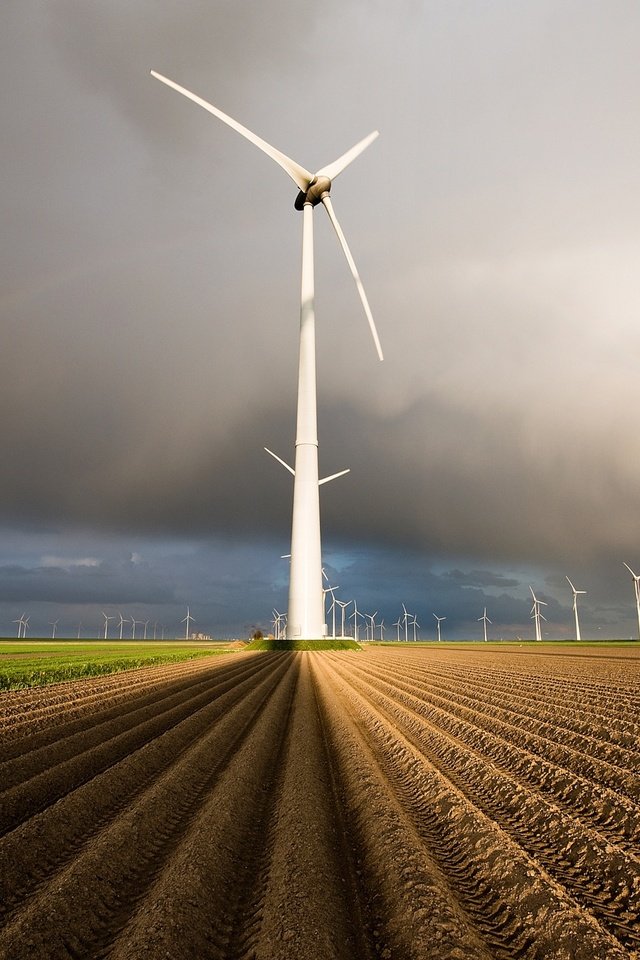 Обои поля, радуга, нидерланды, голландия, ветряные генераторы, field, rainbow, netherlands, holland, wind generators разрешение 2048x1367 Загрузить