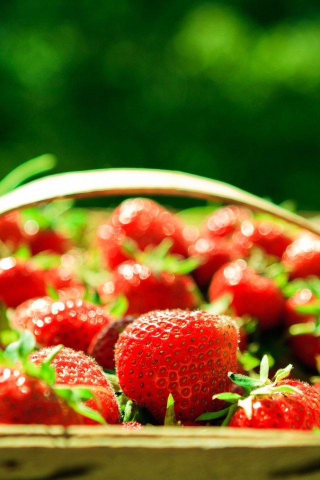 Обои зелёный, фон, клубника, размытость, ягоды, корзинка, green, background, strawberry, blur, berries, basket разрешение 1920x1279 Загрузить