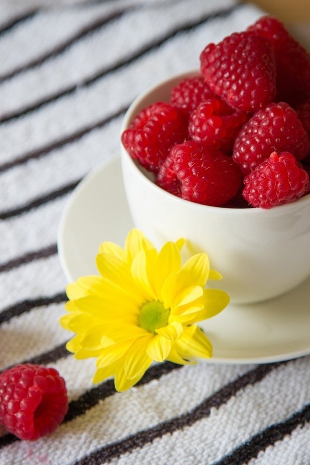 Обои цветок, малина, красная, блюдце, ягоды, чашка, flower, raspberry, red, saucer, berries, cup разрешение 1920x1280 Загрузить