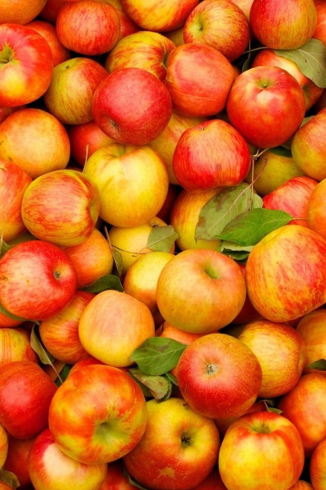 Обои фрукты, яблоки, урожай, плоды, fruit, apples, harvest разрешение 1920x1275 Загрузить