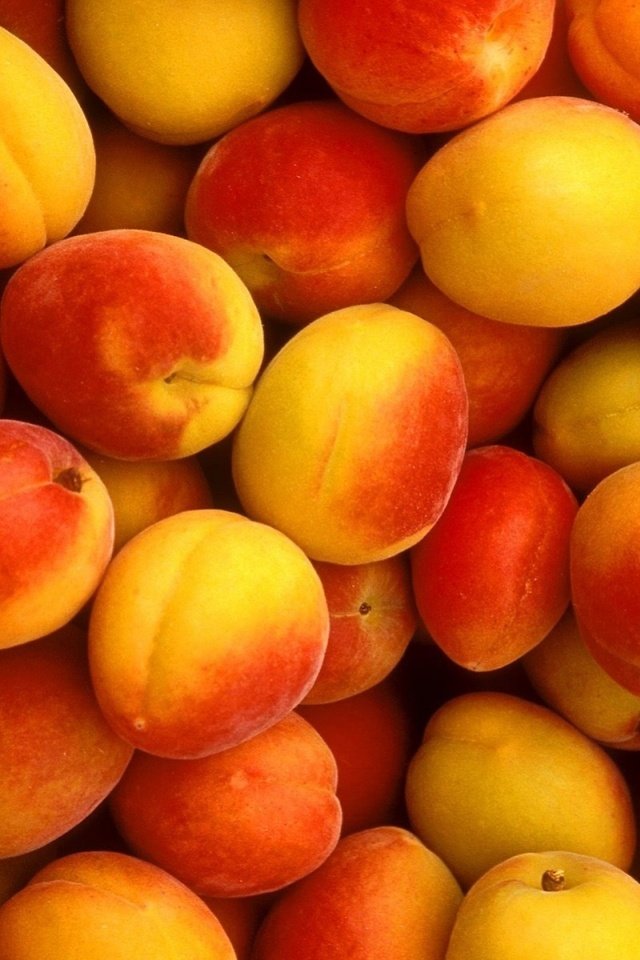 Обои фрукты, абрикосы, fruit, apricots разрешение 1920x1440 Загрузить