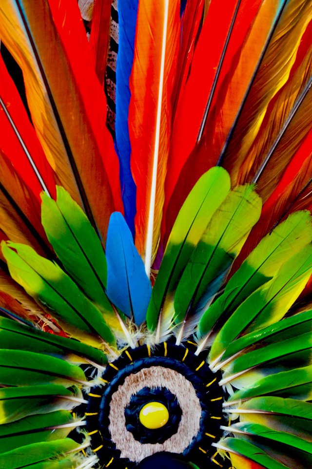Обои макро, краски, перья, ацтеки, головной убор, macro, paint, feathers, the aztecs, headdress разрешение 1920x1200 Загрузить
