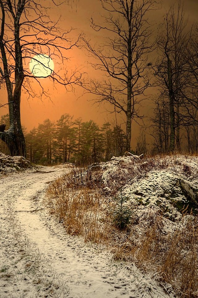 Обои природа, лес, закат, зима, туман, дорога. деревья, nature, forest, sunset, winter, fog, road. trees разрешение 2048x1353 Загрузить