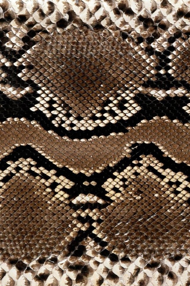 Обои текстура, змея, кожа, расцветка, питон, змеиная кожа, texture, snake, leather, colors, python, snakeskin разрешение 1920x1200 Загрузить