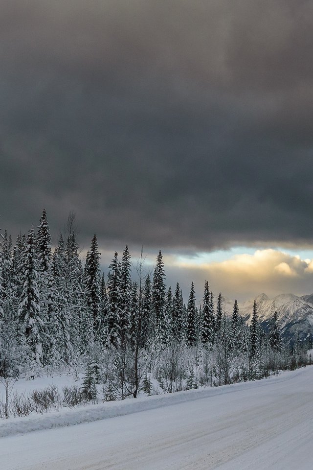 Обои дорога, горы, снег, лес, тучи, ели, road, mountains, snow, forest, clouds, ate разрешение 1920x1200 Загрузить