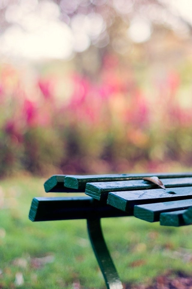 Обои скамейка, настроения, листик, скамья, лавочка, лавка, bench, mood, leaf, shop разрешение 1920x1200 Загрузить