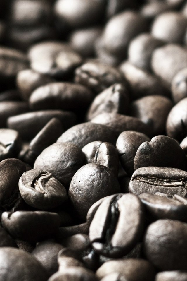 Обои зерна, кофе, кофейные зерна, grain, coffee, coffee beans разрешение 1920x1200 Загрузить
