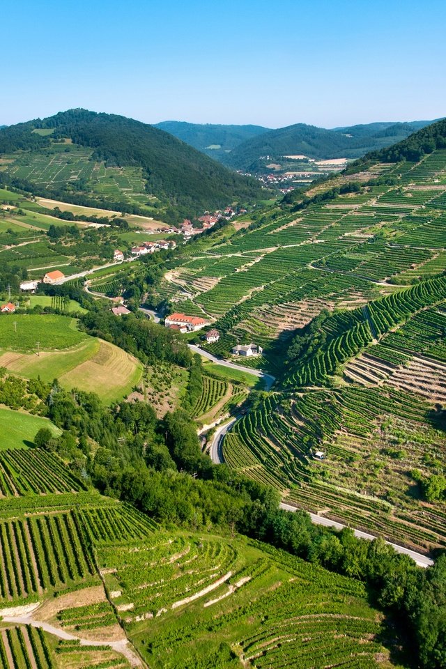 Обои горы, поля, панорама, австрия, дома, плантации, леса, вахау, mountains, field, panorama, austria, home, plantation, forest, wachau разрешение 2880x1913 Загрузить