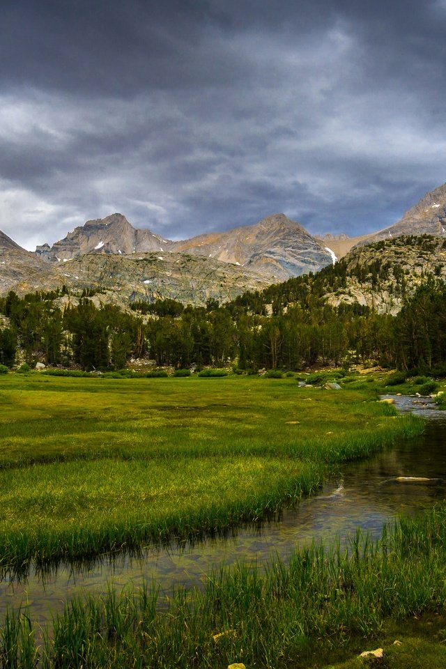 Обои трава, сша, деревья, калифорния, горы, inyo national forest, скалы, камни, лес, ручей, поляна, grass, usa, trees, ca, mountains, rocks, stones, forest, stream, glade разрешение 2880x1620 Загрузить