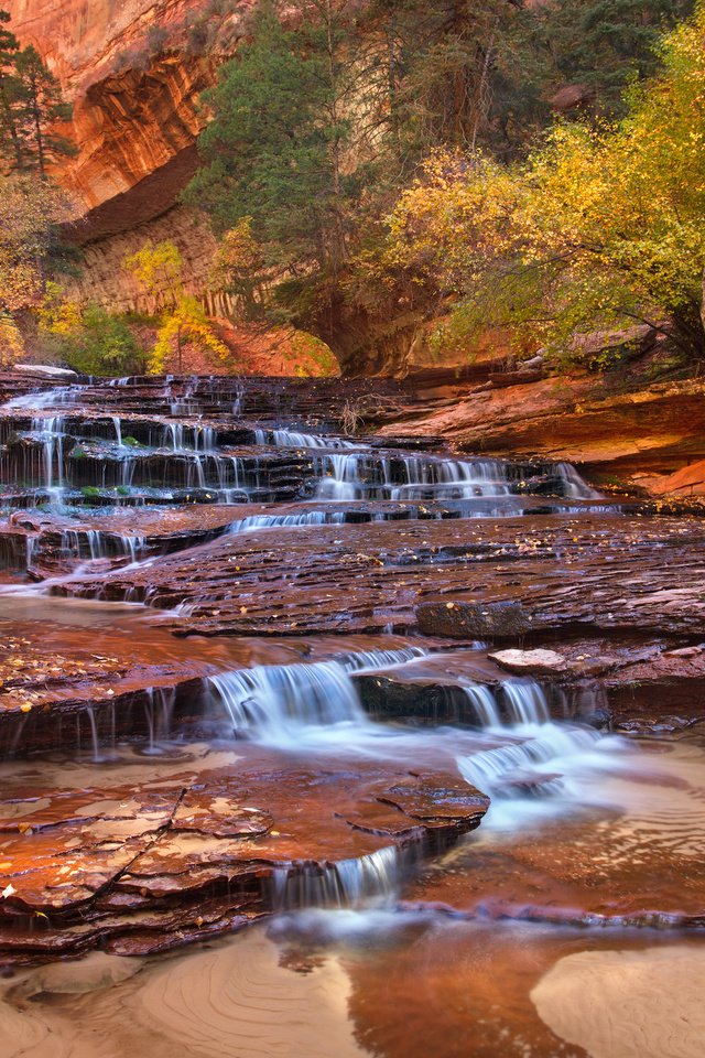 Обои деревья, горы, скалы, ручей, водопад, сша, юта, zion national par, trees, mountains, rocks, stream, waterfall, usa, utah разрешение 2048x1365 Загрузить