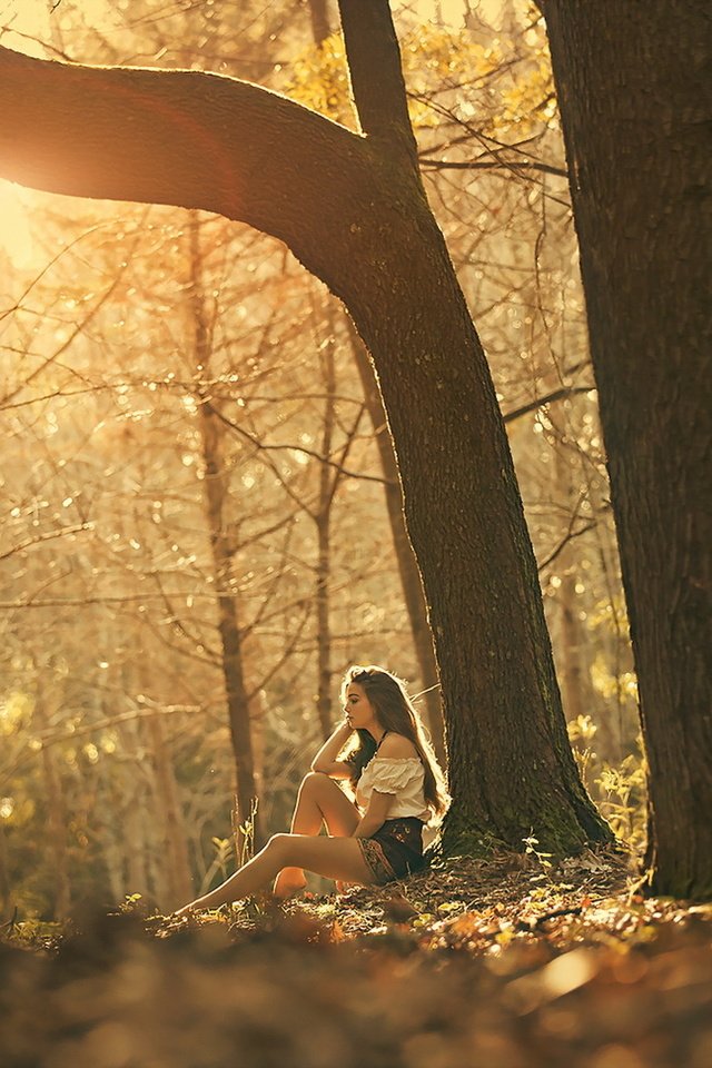 Обои свет, природа, лес, девушка, настроение, шатенка, luis valadares, bruna, bruna magalhães, light, nature, forest, girl, mood, brown hair разрешение 1920x1200 Загрузить