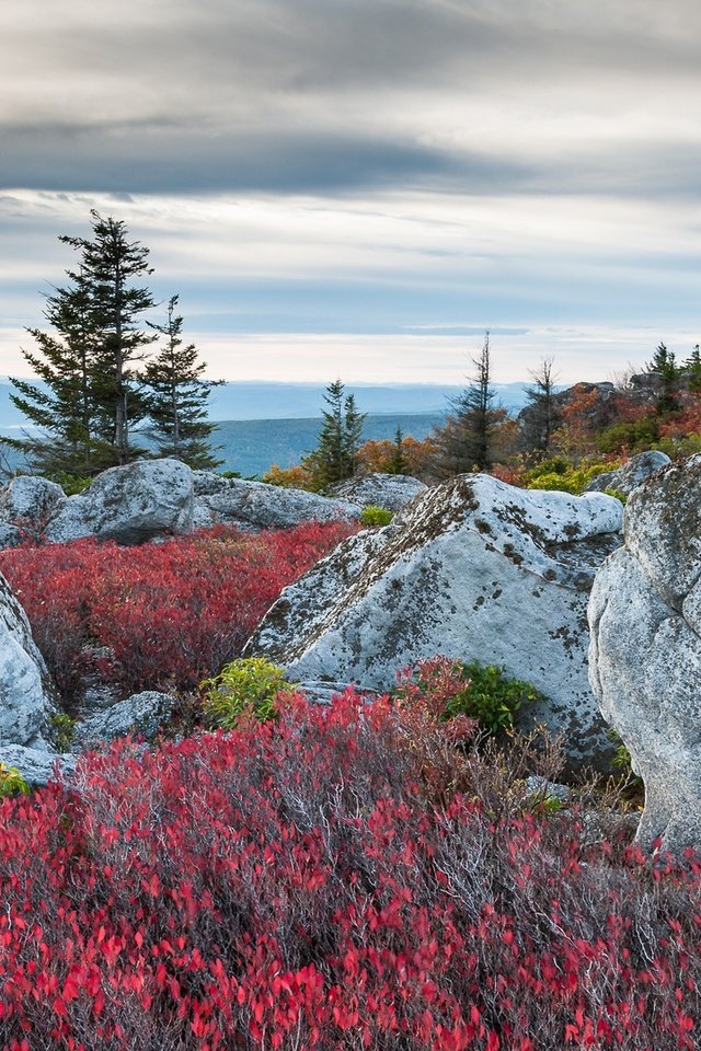 Обои горы, медвежьи скалы, mountains, bear rocks разрешение 1920x1080 Загрузить