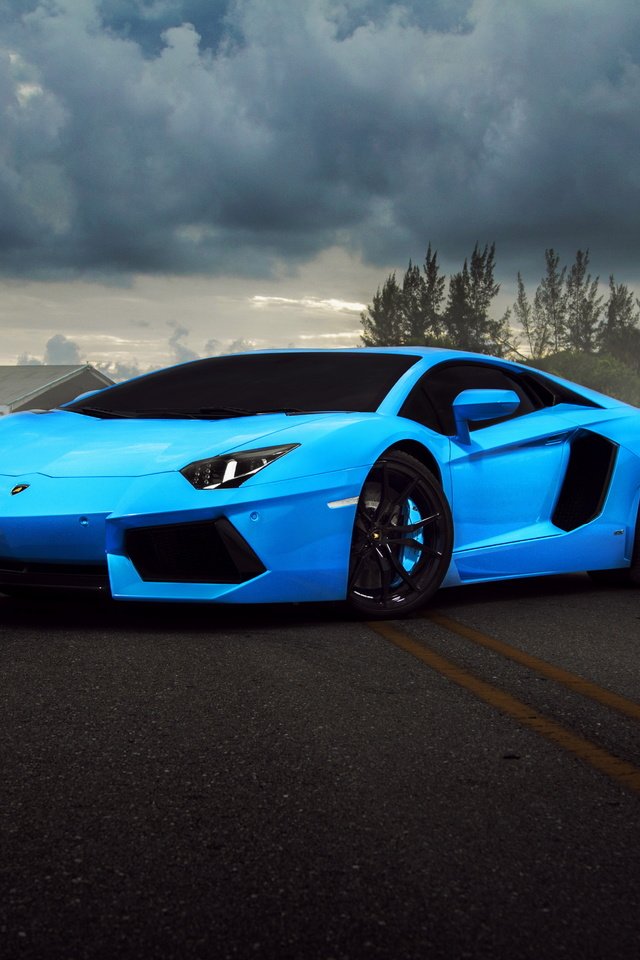 Обои синий, улица, ламборджини авентадор, blue, street, lamborghini aventador разрешение 5000x3125 Загрузить