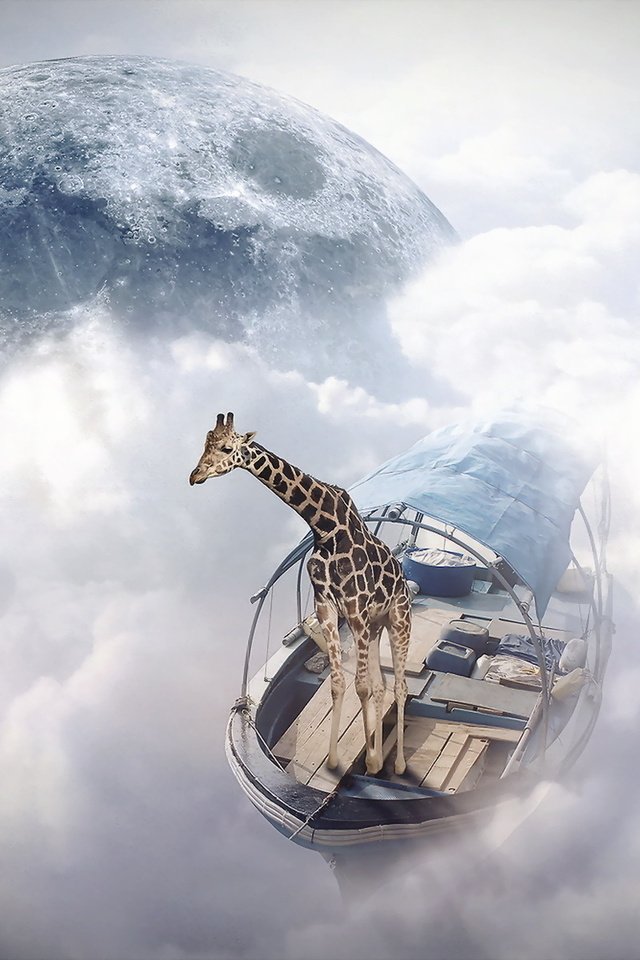 Обои жираф, finearts, небо моряк, фотоманипуляция, giraffe, sky sailor, photo manipulation разрешение 1920x1200 Загрузить