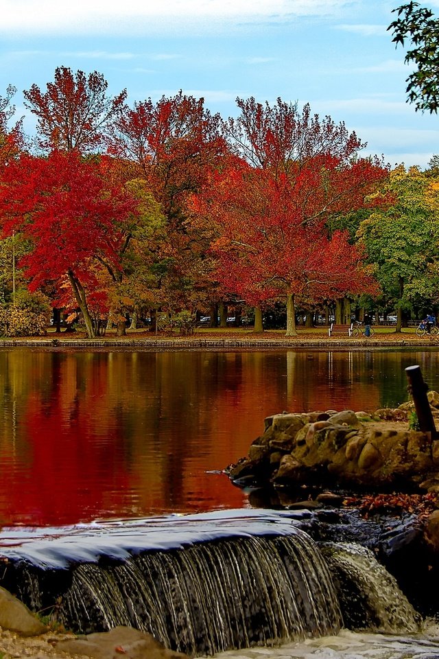 Обои деревья, нью - йорк, озеро, парк, осень, штат нью-йорк, belmont lake, belmont lake state park, озеро белмонт, вавилон, trees, new york, lake, park, autumn, the state of new york, lake belmont, babylon разрешение 2048x1361 Загрузить
