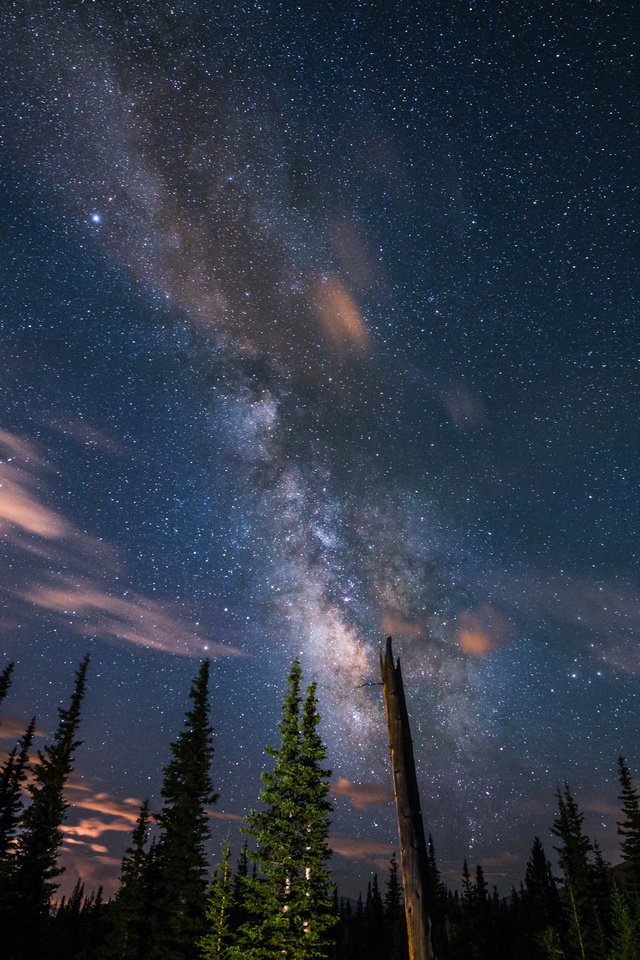 Обои небо, деревья, звезды, силуэты, млечный путь, the sky, trees, stars, silhouettes, the milky way разрешение 2048x1367 Загрузить